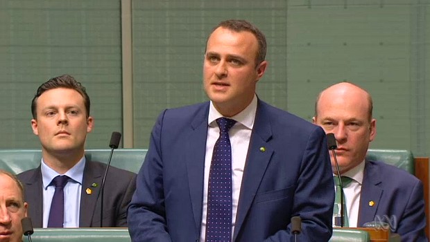 Tim Wilson delivers his maiden speech in Parliament